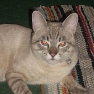 Meet your Posher, Audra